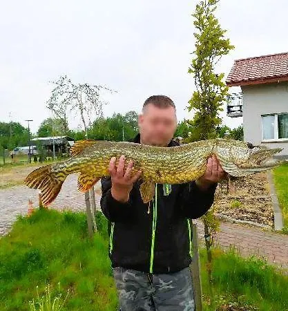 Dobre Miejsce- Letniskowe Nad Stawem Lodge Sianow