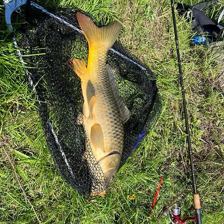 Dobre Miejsce- Letniskowe Nad Stawem Lodge *