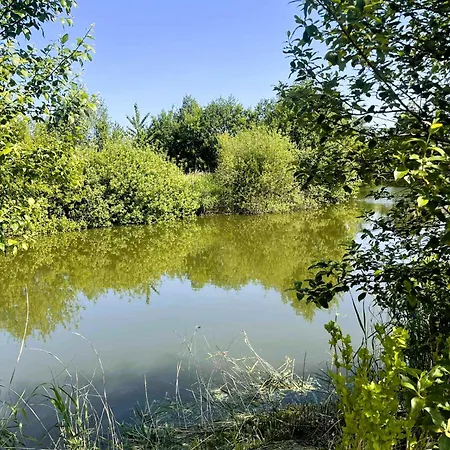 Lodge Dobre Miejsce- Letniskowe Nad Stawem *