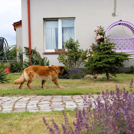 Lodge Dobre Miejsce- Letniskowe Nad Stawem