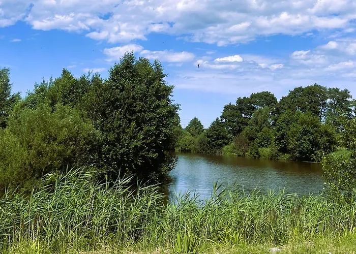 Dobre Miejsce- Letniskowe Nad Stawem ロッジ Sianów