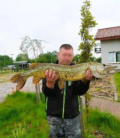 Dobre Miejsce- Letniskowe Nad Stawem ロッジ Sianów