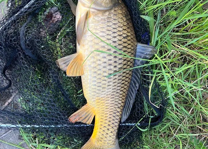 Dobre Miejsce- Letniskowe Nad Stawem ロッジ