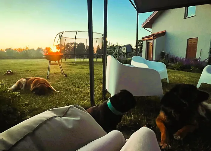 ロッジ Dobre Miejsce- Letniskowe Nad Stawem