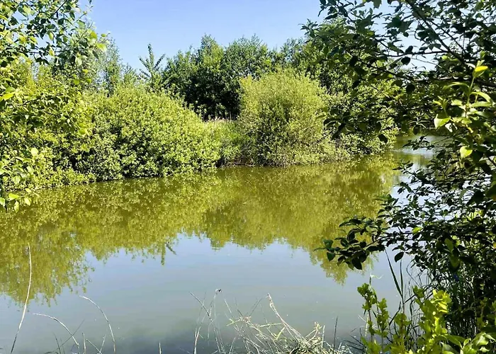 ロッジ Dobre Miejsce- Letniskowe Nad Stawem *