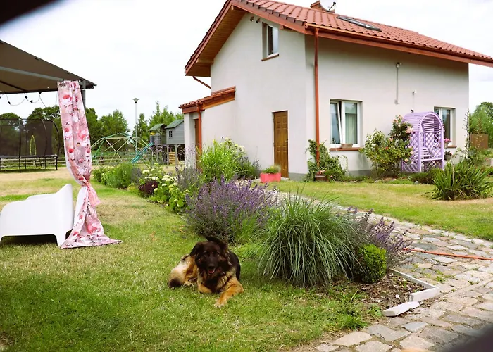Dobre Miejsce- Letniskowe Nad Stawem Sianów